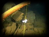 007 Cave Line And Clip